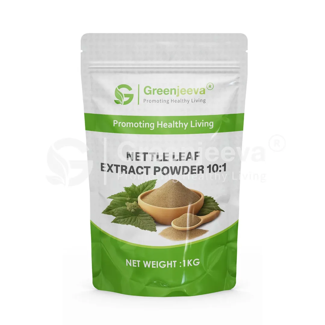 Nettle Leaf Extract Powder 10 1 Pouch Nettle Leaf Extract Powder 10 1 Pouch